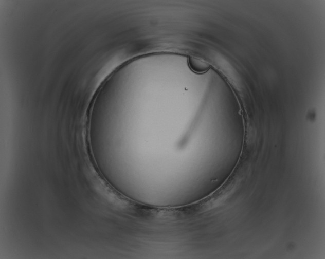 X0000093570899200710221441