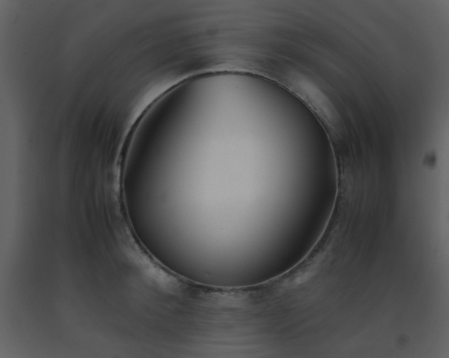 X0000093570900200710221441
