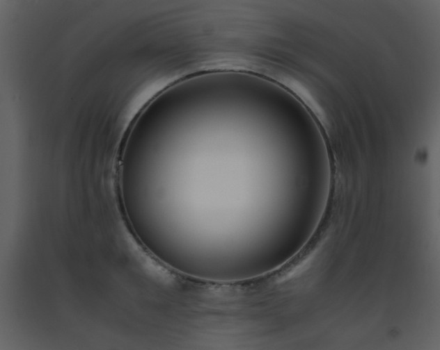 X0000093570901200710221441