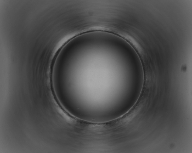 X0000093570902200710221441