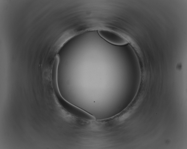 X0000093570905200710221441