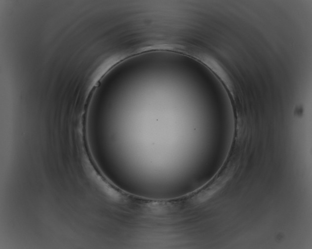 X0000093570906200710221441