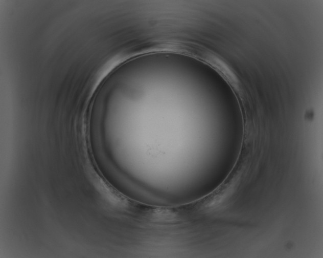 X0000093570907200710221441
