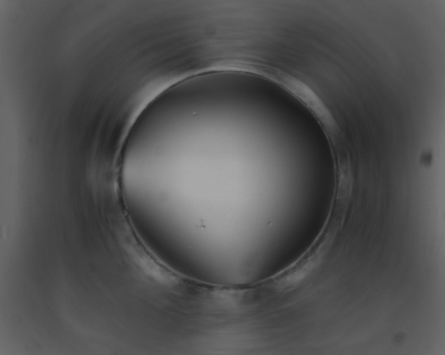 X0000093570908200710221440