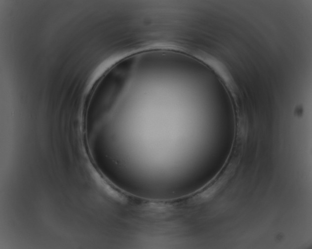 X0000093570910200710221440
