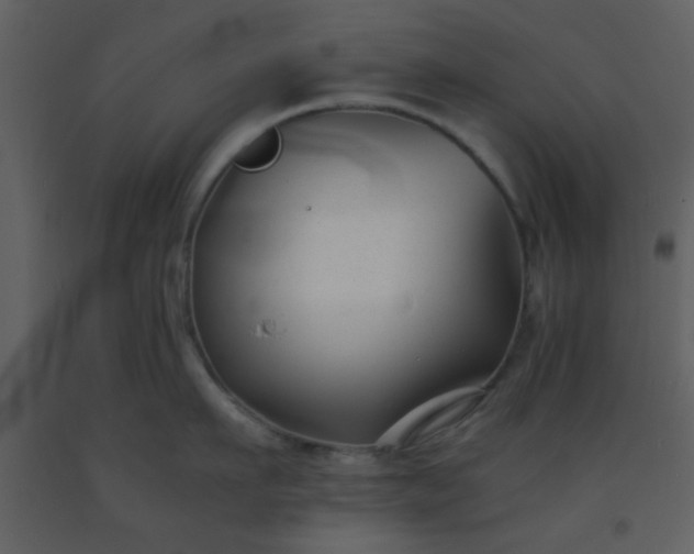 X0000093570911200710221440