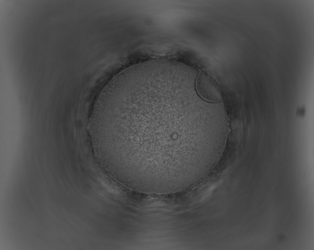 X0000093570913200710221440