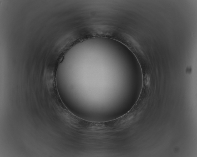 X0000093570915200710221440