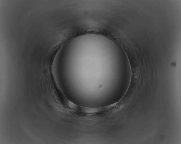 X0000093570916200710221440