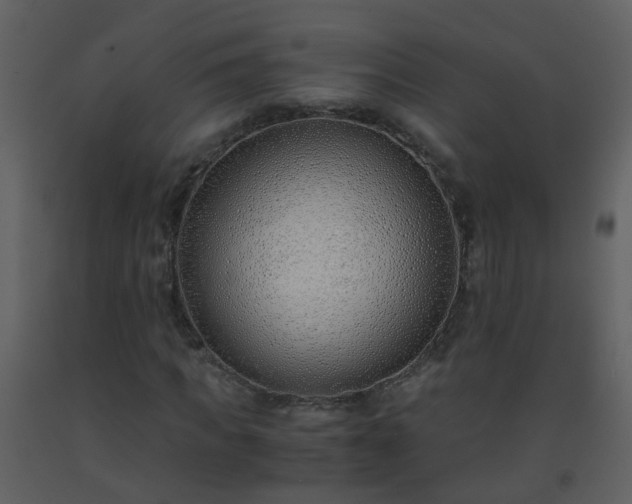 X0000093570917200710221440