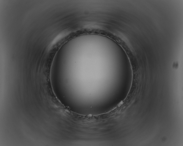 X0000093570919200710221440