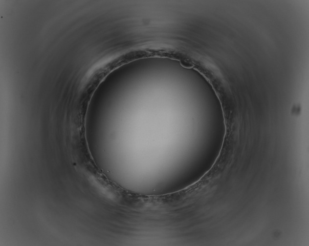 X0000093570920200710221440