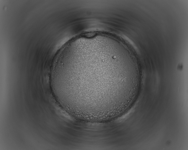 X0000093570921200710221440