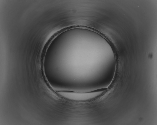 X0000093570924200710221440