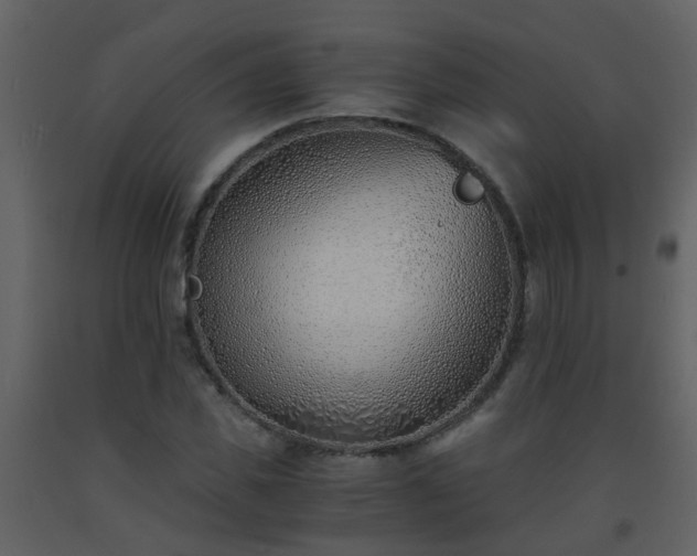 X0000093570925200710221440
