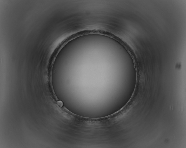X0000093570927200710221440