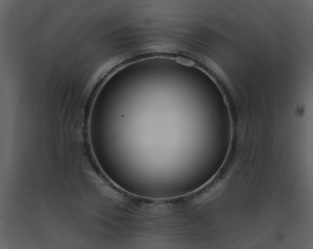 X0000093570930200710221440