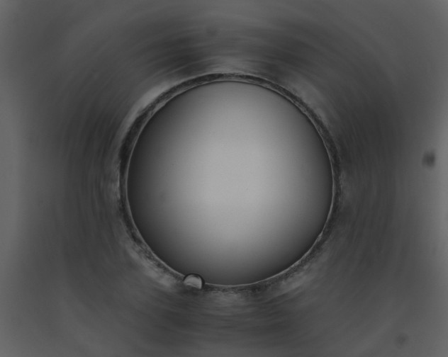 X0000093570931200710221440