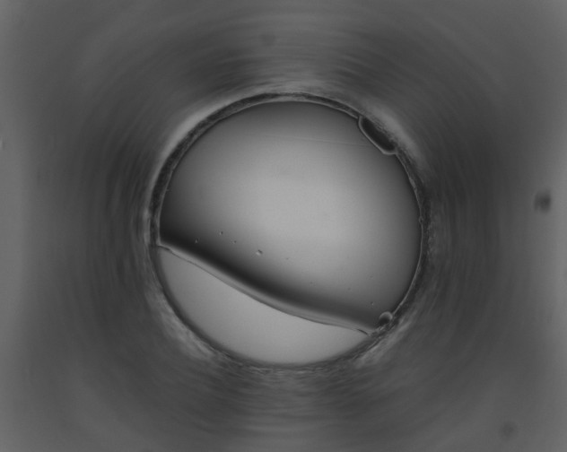 X0000093570932200710221440