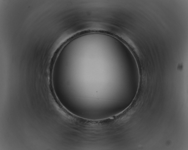 X0000093570935200710221440