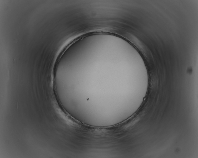 X0000093570940200710221440