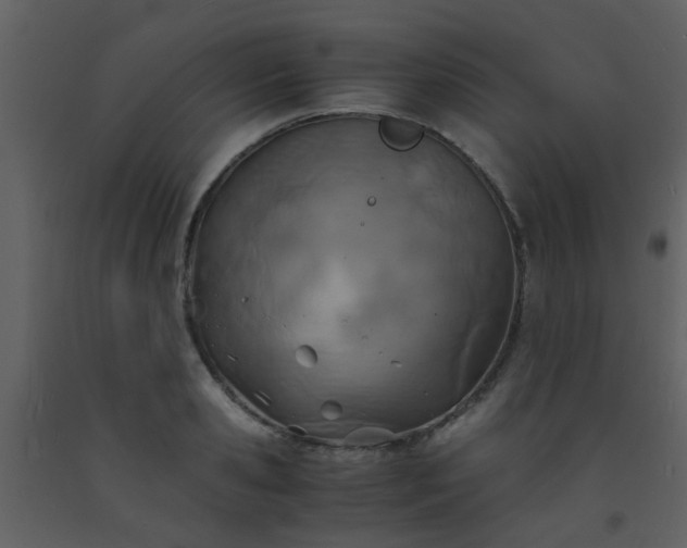 X0000093570941200710221440