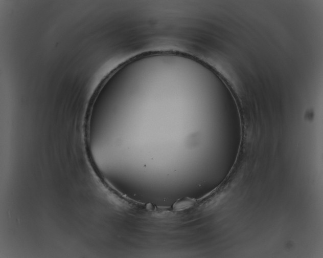 X0000093570943200710221440
