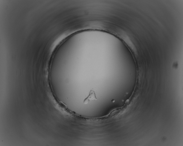 X0000093570944200710221440
