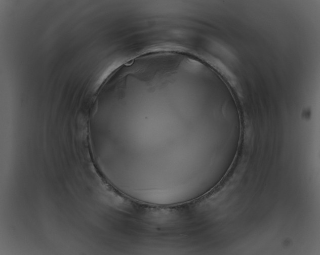 X0000093570945200710221440