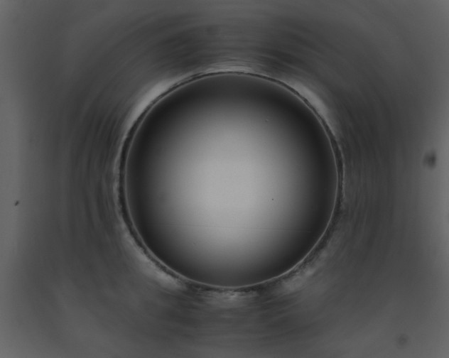 X0000093570949200710221440