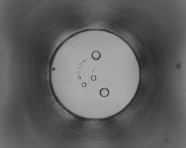 X0000093570950200710221440
