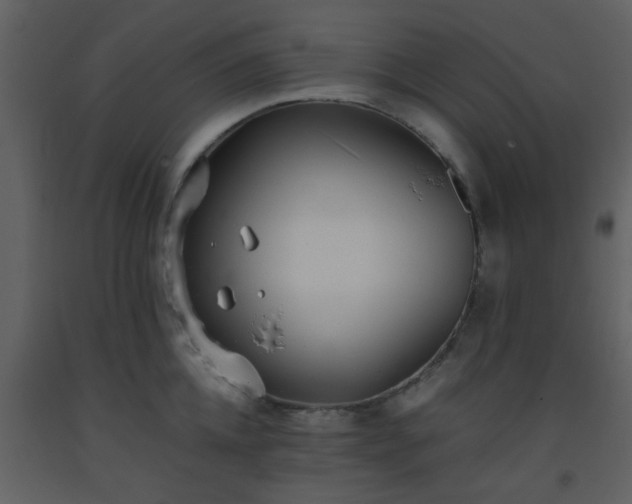 X0000093570952200710221440