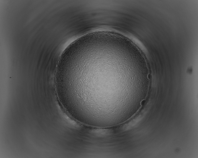 X0000093570953200710221440