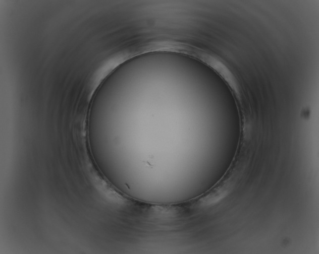 X0000093570954200710221440