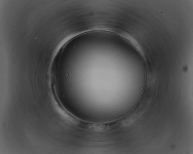 X0000093570955200710221440