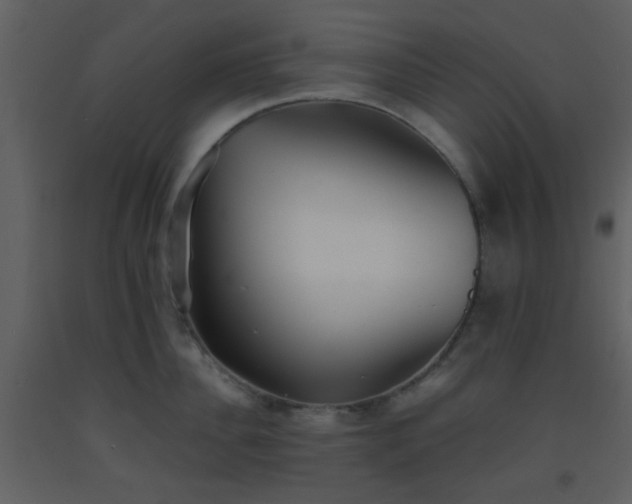 X0000093570956200710221440