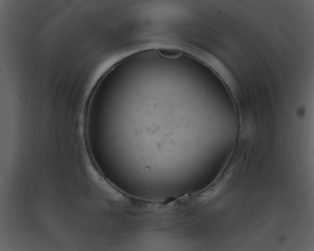 X0000093570958200710221440