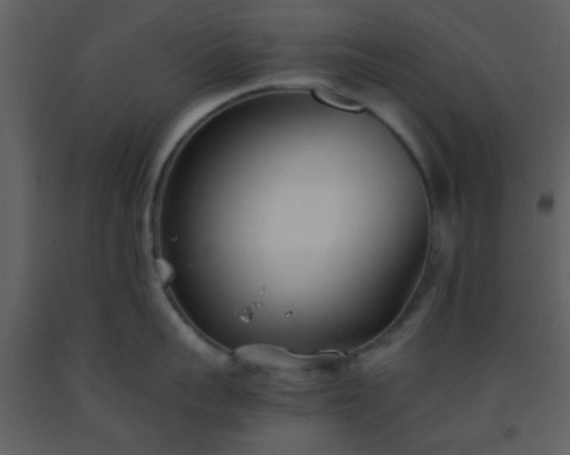 X0000093570959200710221440