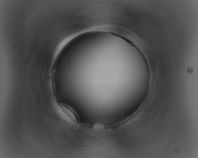 X0000093570960200710221440