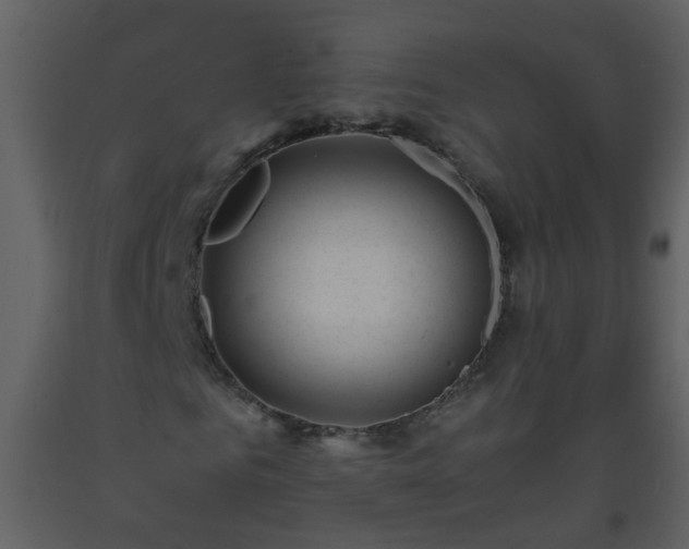 X0000093570961200710221440