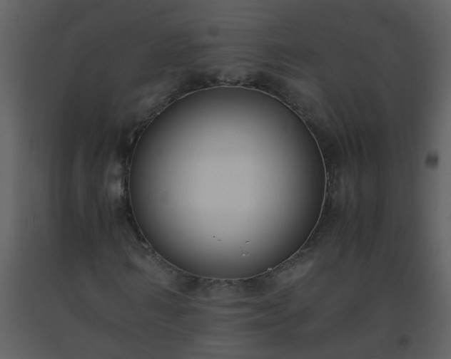 X0000093570962200710221440