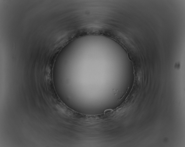 X0000093570964200710221440