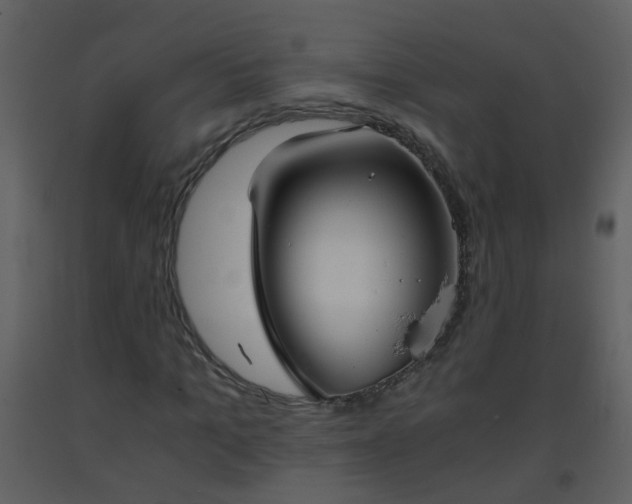 X0000093570965200710221440