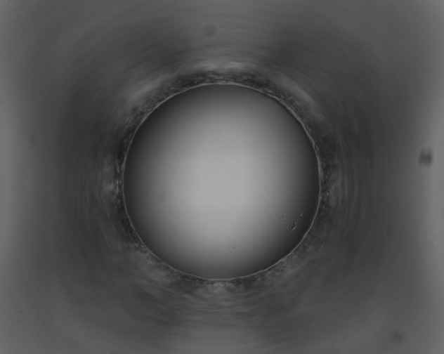 X0000093570966200710221440