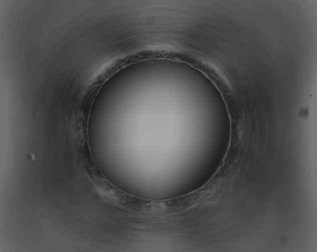 X0000093570968200710221440