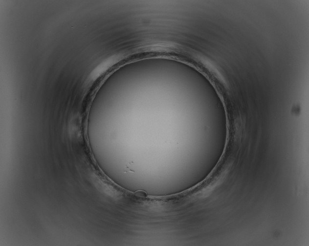 X0000093570970200710221440