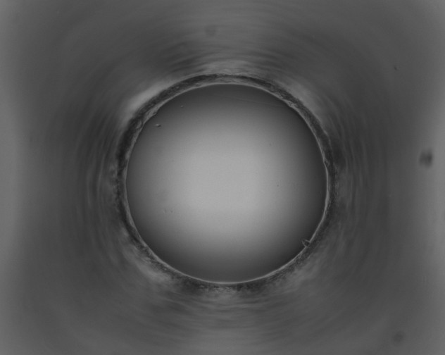 X0000093570971200710221440