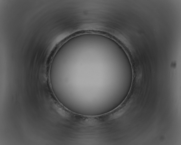 X0000093570974200710221440