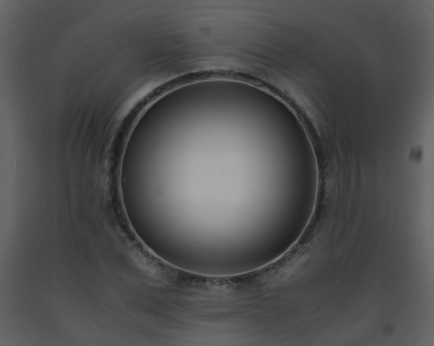 X0000093570975200710221440