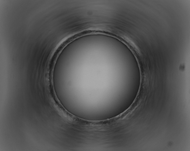 X0000093570976200710221440